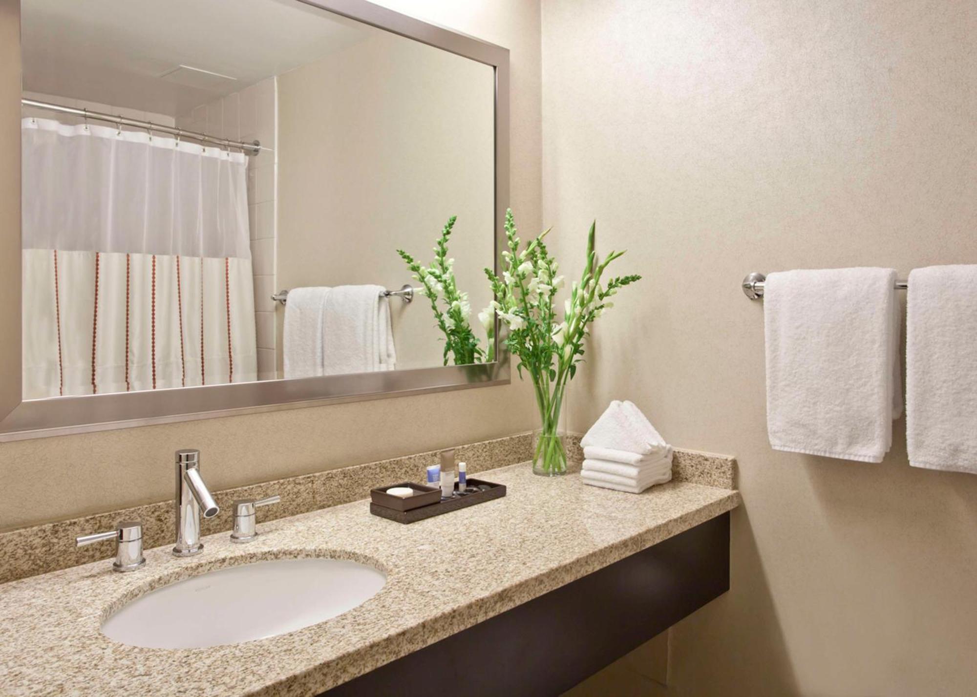 Hyatt Regency O'hare Chicago Hotel Rosemont